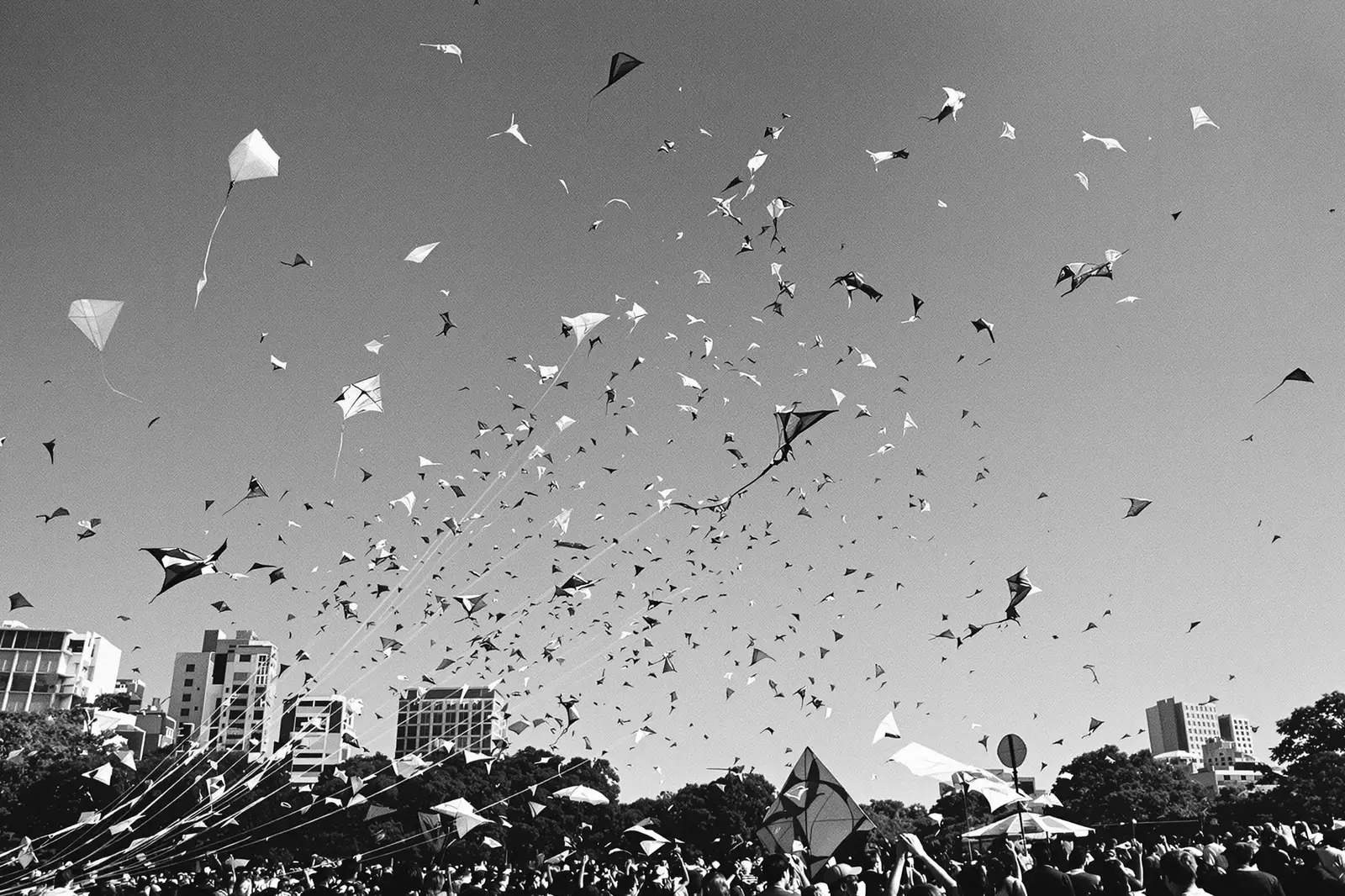 Cielo lleno de barriletes en un festival en un parque de Buenos Aires